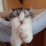 ヒメ日記 2026/03/31 10:40 投稿 みどり ふぞろいの人妻たち