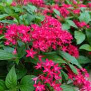 ヒメ日記 2026/04/02 10:20 投稿 みどり ふぞろいの人妻たち