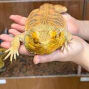 ヒメ日記 2026/07/05 15:01 投稿 みどり ふぞろいの人妻たち