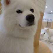 ヒメ日記 2026/08/08 10:52 投稿 みどり ふぞろいの人妻たち