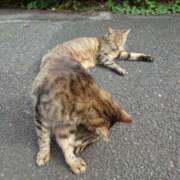ヒメ日記 2026/10/06 10:31 投稿 みどり ふぞろいの人妻たち