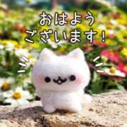 はるな おはようございます(*´∀`)♪ Queen Angel(クイーンエンジェル)