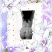 ヒメ日記 2025/07/21 22:00 投稿 すずか 熟女の風俗最終章 相模原店