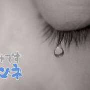 ヒメ日記 2025/08/01 23:04 投稿 すずか 熟女の風俗最終章 町田店