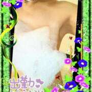 ヒメ日記 2025/08/09 12:30 投稿 すずか 熟女の風俗最終章 町田店