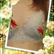 ヒメ日記 2025/08/29 11:53 投稿 すずか 熟女の風俗最終章 町田店