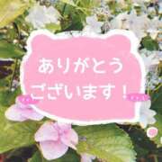 ヒメ日記 2025/07/01 01:07 投稿 宮下 あなたに逢いたくて