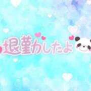 ヒメ日記 2025/07/12 03:22 投稿 とわ 宮城♂風俗の神様 仙台店