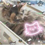 ヒメ日記 2025/09/28 19:32 投稿 とわ 宮城♂風俗の神様 仙台店