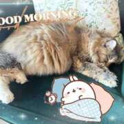 ヒメ日記 2025/10/04 07:32 投稿 とわ 宮城♂風俗の神様 仙台店