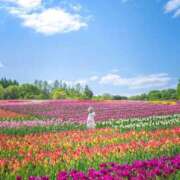 ヒメ日記 2025/07/08 10:45 投稿 める abc＋