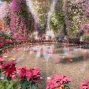 ヒメ日記 2025/07/19 20:29 投稿 める abc＋