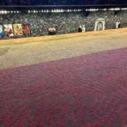 ヒメ日記 2026/01/11 11:38 投稿 ひまり ホテピン