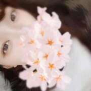 ヒメ日記 2025/10/09 02:49 投稿 ひめ 東京メンズボディクリニック TMBC 池袋店