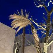 ヒメ日記 2025/07/14 23:33 投稿 桜井(さくらい) 大牟田デリヘル倶楽部