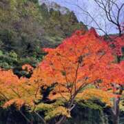 ヒメ日記 2025/11/12 07:32 投稿 桜井(さくらい) 大牟田デリヘル倶楽部