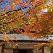 ヒメ日記 2025/11/26 07:32 投稿 桜井(さくらい) 大牟田デリヘル倶楽部