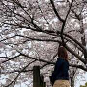 ヒメ日記 2026/04/02 14:54 投稿 桜井(さくらい) 大牟田デリヘル倶楽部