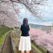 ヒメ日記 2026/04/04 07:36 投稿 桜井(さくらい) 大牟田デリヘル倶楽部