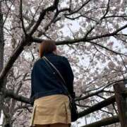 ヒメ日記 2026/04/12 07:38 投稿 桜井(さくらい) 大牟田デリヘル倶楽部