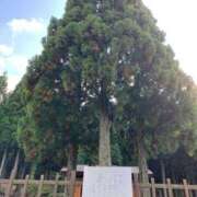 ヒメ日記 2026/07/29 15:19 投稿 桜井(さくらい) 大牟田デリヘル倶楽部