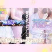 ヒメ日記 2025/08/20 12:08 投稿 みのり ベイビーモコ