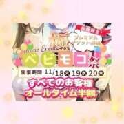 ヒメ日記 2025/11/19 11:44 投稿 みのり ベイビーモコ