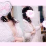 ヒメ日記 2025/11/30 00:28 投稿 みのり ベイビーモコ