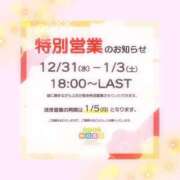 ヒメ日記 2026/01/03 17:33 投稿 みのり ベイビーモコ