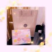 ヒメ日記 2026/03/02 18:00 投稿 みのり ベイビーモコ