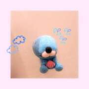 ヒメ日記 2026/03/05 10:03 投稿 みのり ベイビーモコ