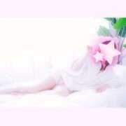 ヒメ日記 2026/04/13 12:23 投稿 みのり ベイビーモコ