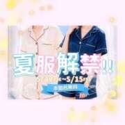 ヒメ日記 2026/05/12 15:17 投稿 みのり ベイビーモコ