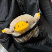 ヒメ日記 2025/12/13 21:34 投稿 アリス ドMな奥さん 日本橋店