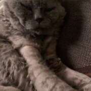 ヒメ日記 2025/07/21 01:29 投稿 みずほ 難波女子高生はやめました！！