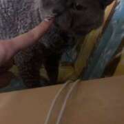 ヒメ日記 2025/07/22 17:09 投稿 みずほ 難波女子高生はやめました！！