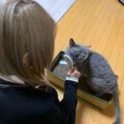 ヒメ日記 2025/08/23 13:29 投稿 みずほ 難波女子高生はやめました！！