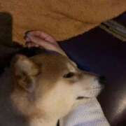 ヒメ日記 2025/08/25 00:59 投稿 みずほ 難波女子高生はやめました！！