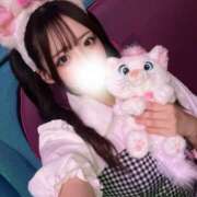 ルピナ 💓‪自己紹介💓‪ きらめけ！にゃんにゃん学園in大宮