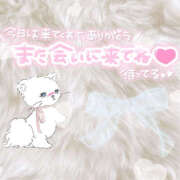 ヒメ日記 2025/07/25 00:37 投稿 さあや ハピネス東京