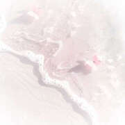 ヒメ日記 2025/08/24 21:27 投稿 さあや ハピネス東京