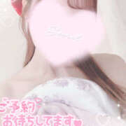 ヒメ日記 2025/09/14 22:20 投稿 さあや ハピネス東京