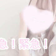 ヒメ日記 2025/11/20 17:17 投稿 さあや ハピネス東京