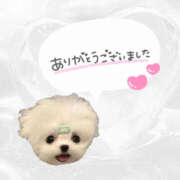 ヒメ日記 2025/11/23 00:27 投稿 さあや ハピネス東京