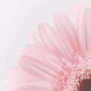 ヒメ日記 2026/01/06 16:49 投稿 ひな CELEB FACE FUKUOKA