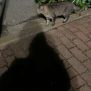 ヒメ日記 2025/07/06 19:18 投稿 もね 西船人妻花壇