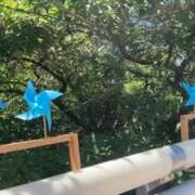 ヒメ日記 2025/09/02 14:06 投稿 もね 西船人妻花壇