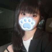 ヒメ日記 2025/06/30 06:00 投稿 ふわり アクアマリン