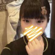 ヒメ日記 2025/08/12 20:01 投稿 ふわり アクアマリン