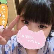 ヒメ日記 2025/08/17 14:00 投稿 ふわり アクアマリン